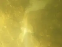 20190607_133056.webp