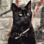 tell me more.gif