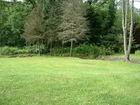 DSCF0001.webp