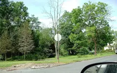 DSCF0005.webp