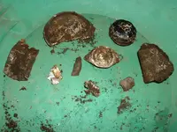 DSCF0017.webp