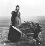 720a5564fded503300f8bb26ee3b58ad--pioneer-woman-firewood.webp