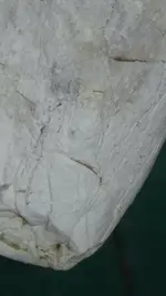 CM190608-153855004.webp