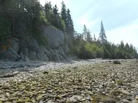 DSCN3747.webp
