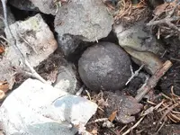 DSCN3753.webp