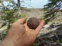 DSCN3755.webp