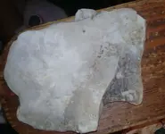 CM190608-034715002-1.webp