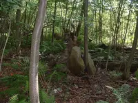 DSCF0018.webp