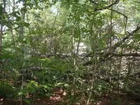 DSCF0019.webp