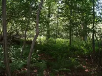 DSCF0020.webp