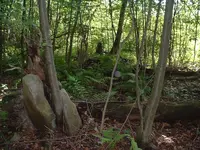 DSCF0021.webp