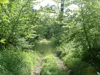 DSCF0022.webp