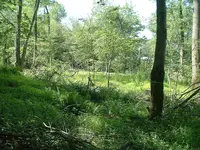 DSCF0023.webp