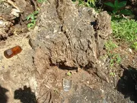 DSCF0024.webp