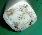 DSCF0010.webp