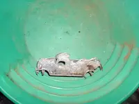 DSCF0004.webp