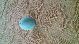 20190617_184201.webp
