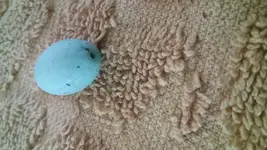 20190617_184146.webp
