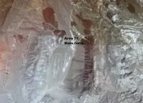 A51.webp