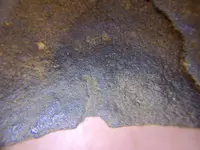 53781347-EF55-480C-B236-FDFA08F12F49.webp