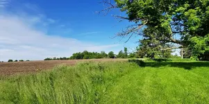 20190616_144751.webp