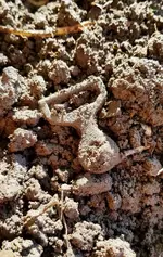 20190616_144938.webp