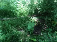 ImageUploadedByTreasureNet.com1561588698.249222.webp ImageUploadedByTreasureNet.com1561588698.249222.webp