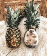 sYkvkTjX_2019708070538.webp