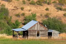 00333-1.webp