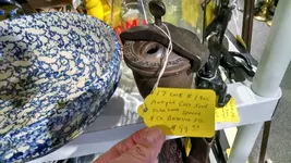 IMG_20181204_105550590_HDR.webp