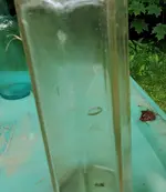 20190706_181217.webp