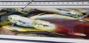 20190608_151725.webp