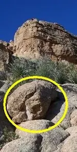 rockface.webp