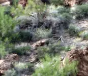 20190715_012230.webp