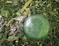 watch.webp