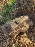 20190714_190923-001.webp