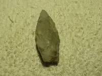 DSCN0460.webp