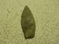 DSCN0461.webp