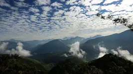 feat-bosque-nublado-03-1200x675.webp feat-bosque-nublado-03-1200x675.webp