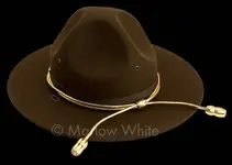 65-322-gold-acorn-with-hat.webp
