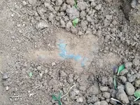 Spigot Dirt.webp Spigot Dirt.webp