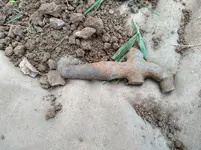 Spigot Drop Cloth.webp