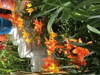 60E4697E-F82C-4E41-A5A0-EC2AB12BD650.webp