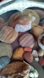 IMG_20190722_200007.webp