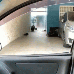 8GLGWxMd_2019912043304.gif