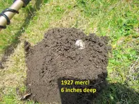 Finds 7-6-19 005.webp