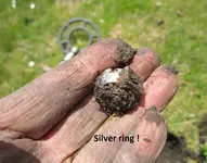 Finds 7-6-19 007.webp