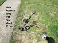 Finds 7-6-19 012.webp