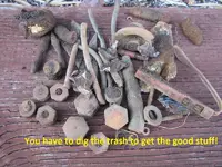 Finds 7-6-19 013.webp