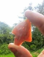 20190817_113256~2.webp
